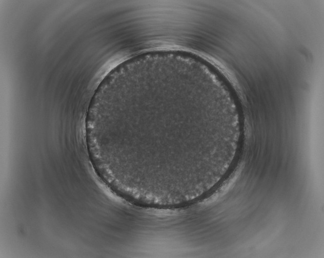 X0000111591289200908271001