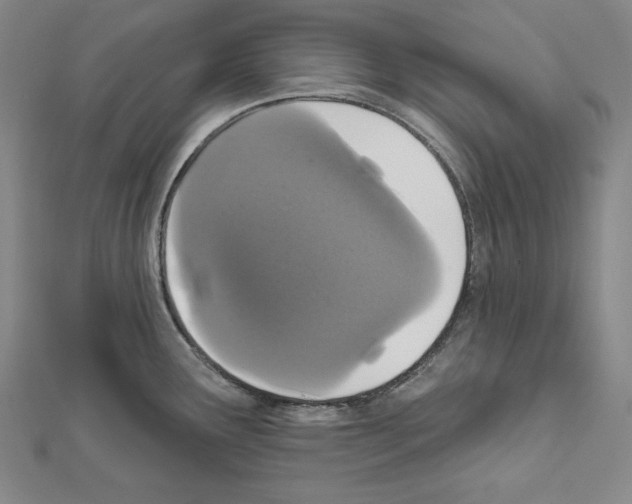 X0000111591291200908271001