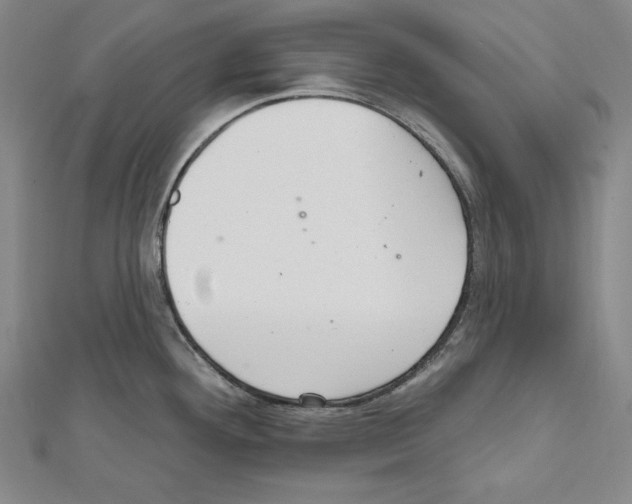 X0000111591292200908271001
