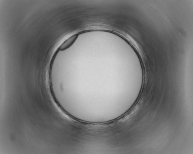 X0000111591293200908271001