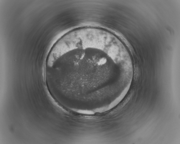 X0000111591295200908271001