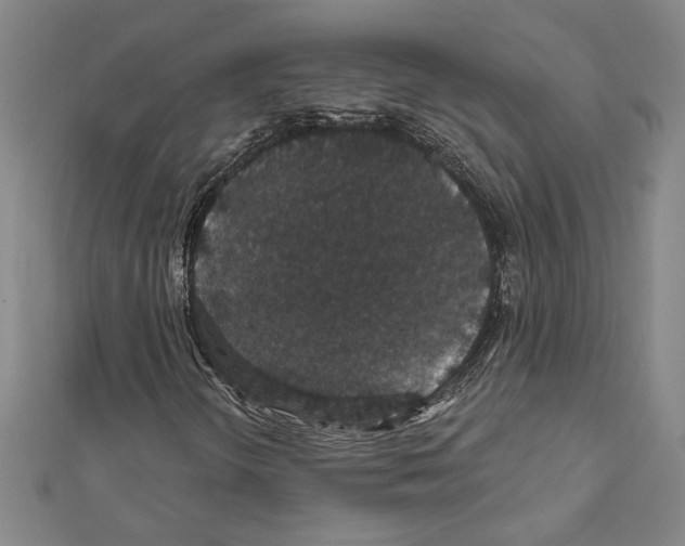 X0000111591298200908271000