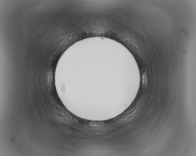 X0000111591299200908271000