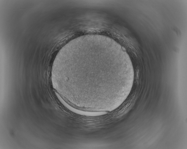 X0000111591300200908271000