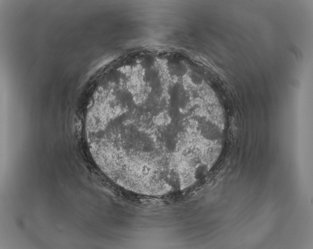 X0000111591302200908271000