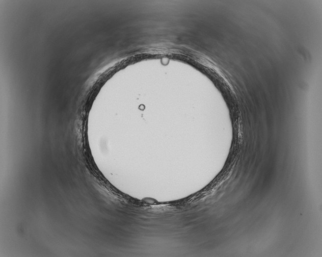 X0000111591304200908271000