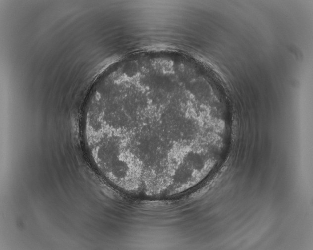 X0000111591305200908271000