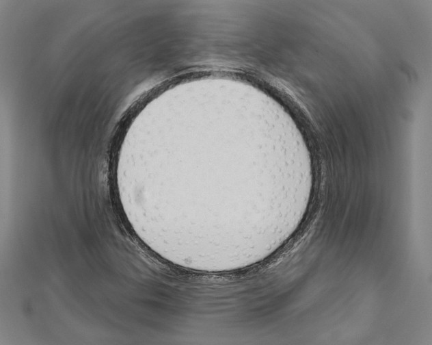 X0000111591307200908271000