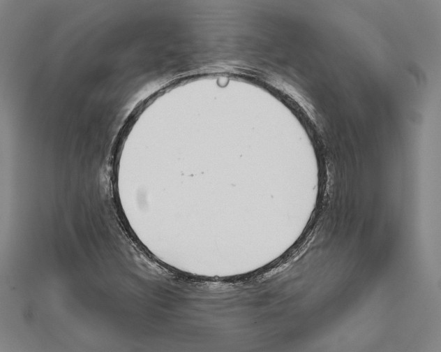 X0000111591308200908271000