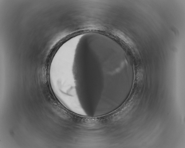 X0000111591310200908271000