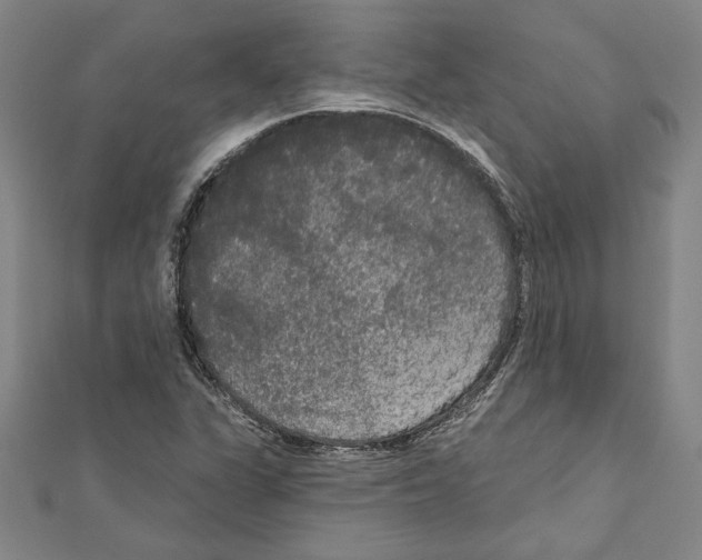 X0000111591311200908271000