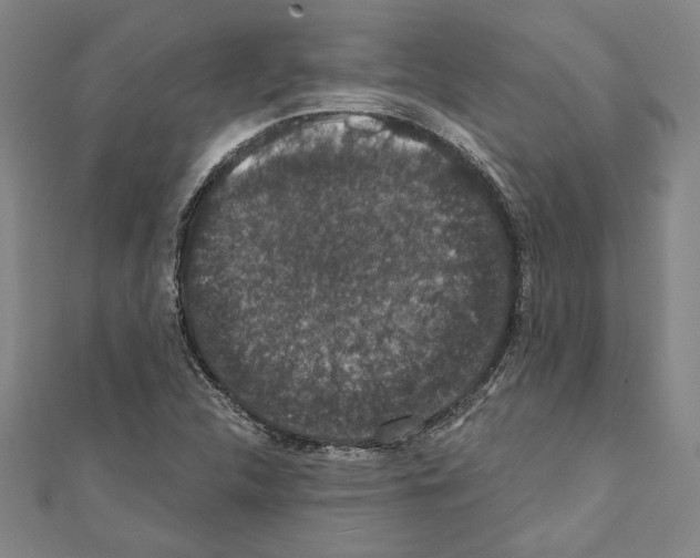 X0000111591312200908271000