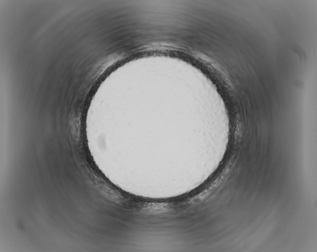 X0000111591313200908271000