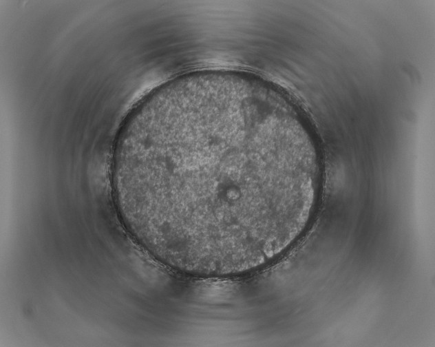 X0000111591314200908271000