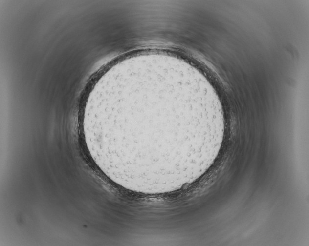 X0000111591315200908271000