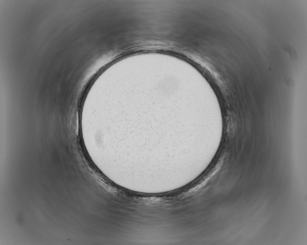 X0000111591317200908271000