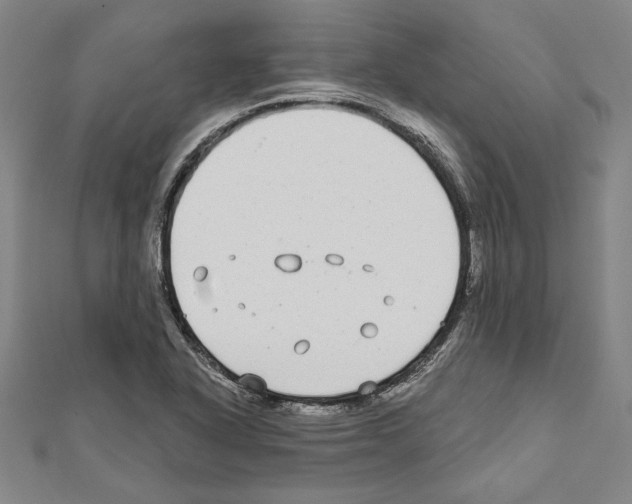 X0000111591318200908271000