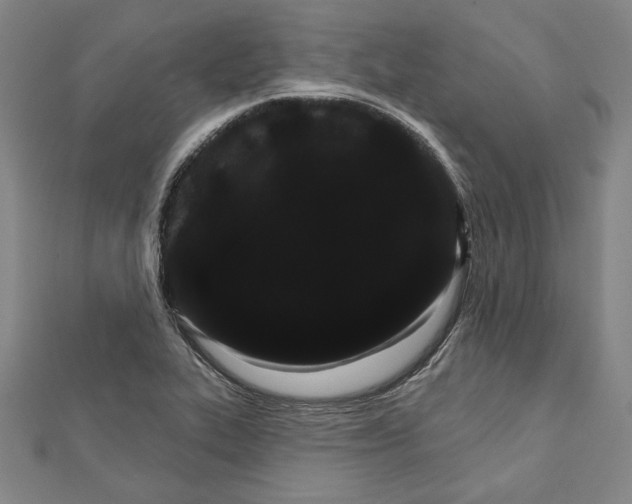 X0000111591319200908271000