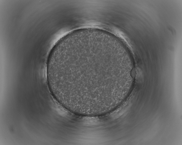 X0000111591320200908271000