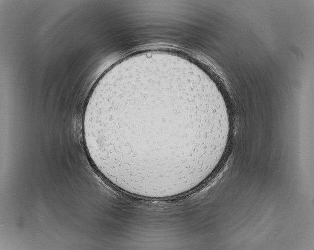 X0000111591321200908271000