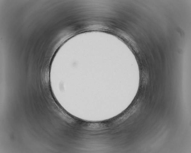 X0000111591322200908271000