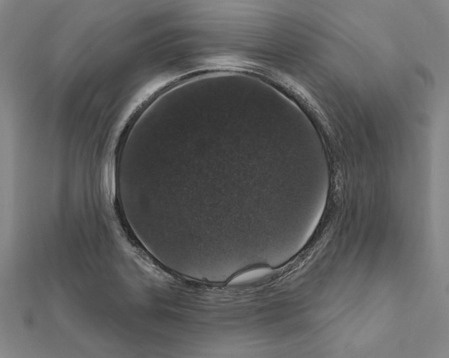 X0000111591323200908271000