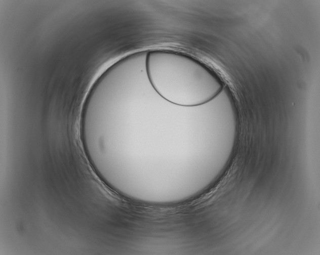 X0000111591324200908271000