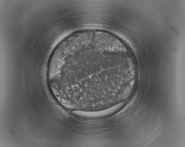 X0000111591325200908271000