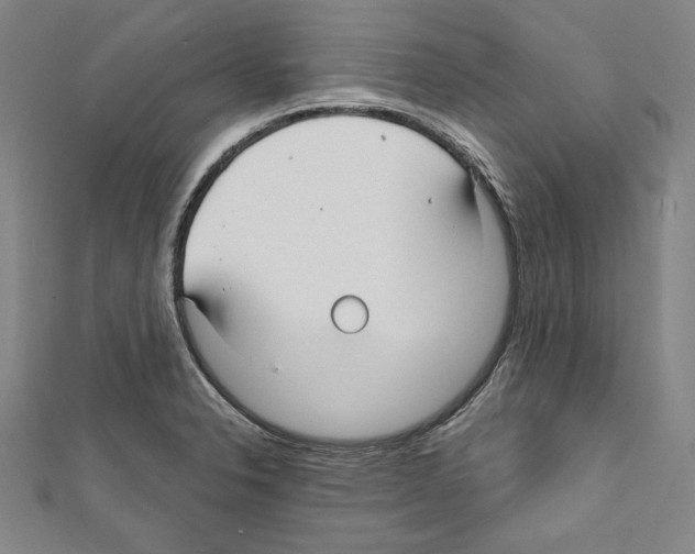 X0000111591326200908271000