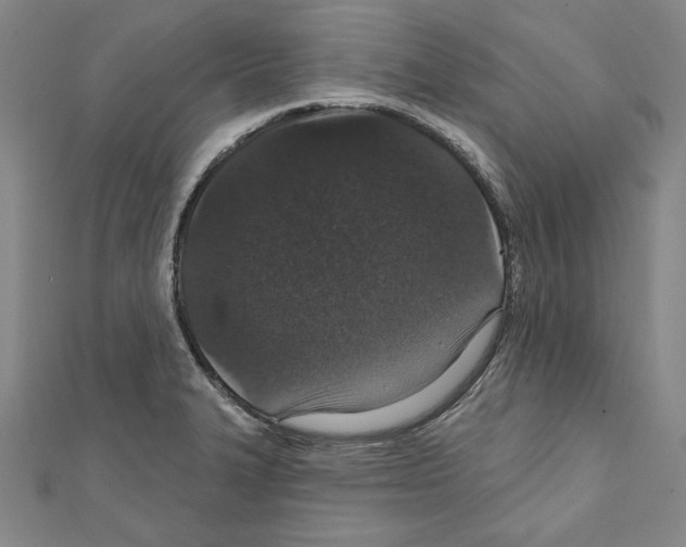 X0000111591327200908271000