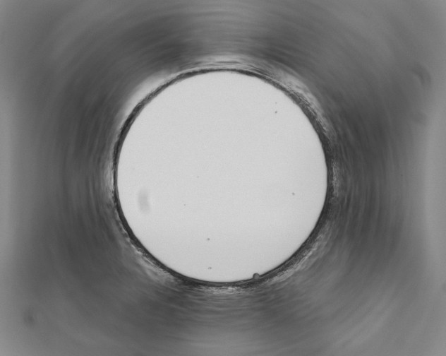 X0000111591328200908271000