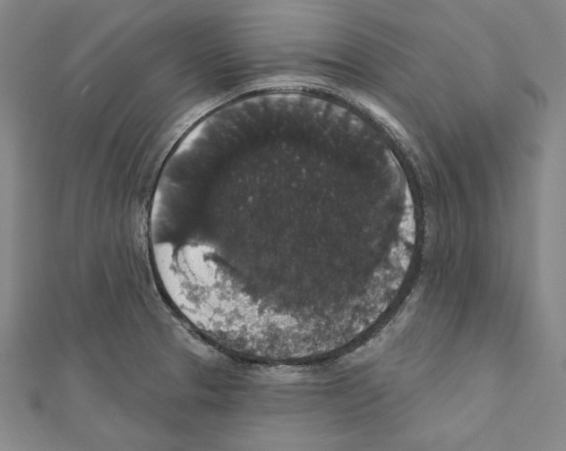 X0000111591329200908271000