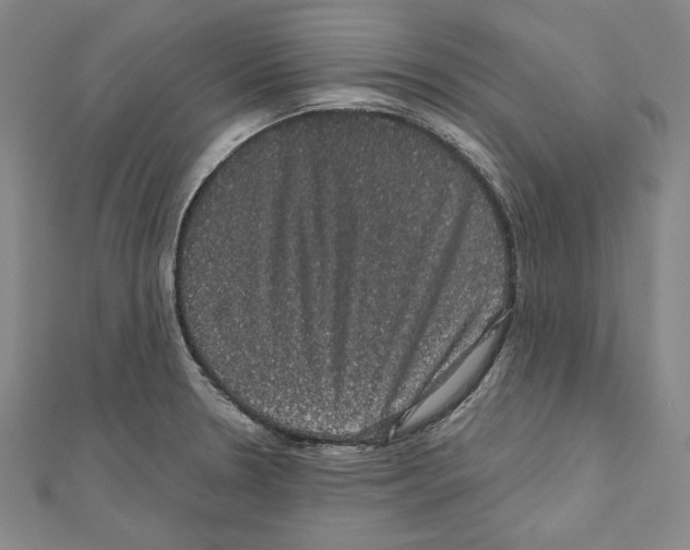 X0000111591330200908271000