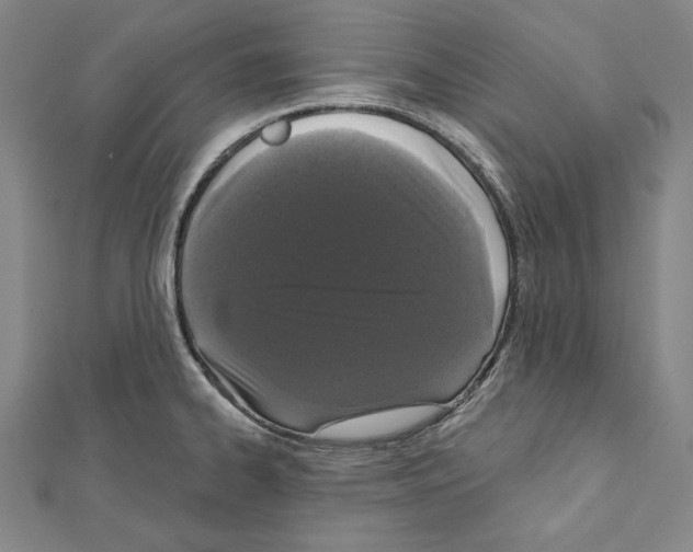 X0000111591334200908271001