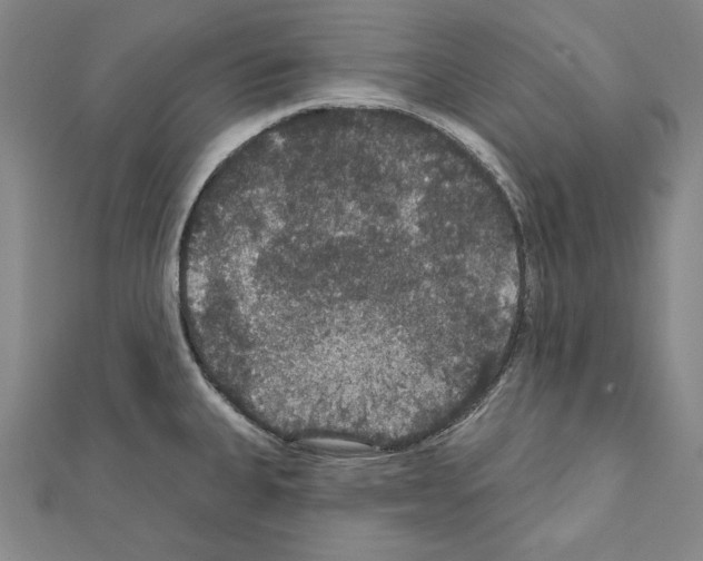 X0000111591335200908271001