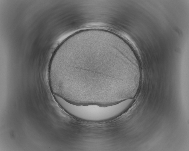 X0000111591336200908271001