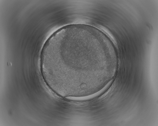 X0000111591340200908271001