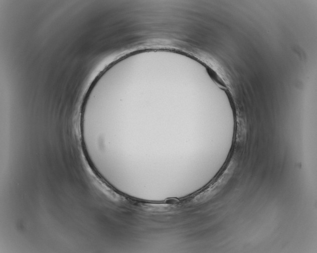 X0000111591342200908271001