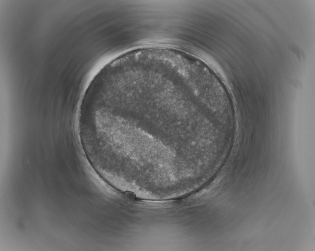 X0000111591344200908271001