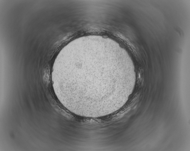 X0000111591348200908271000