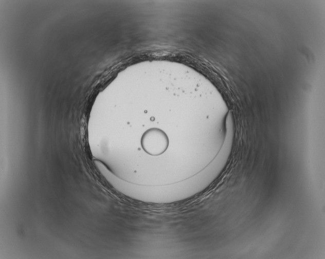 X0000111591349200908271000