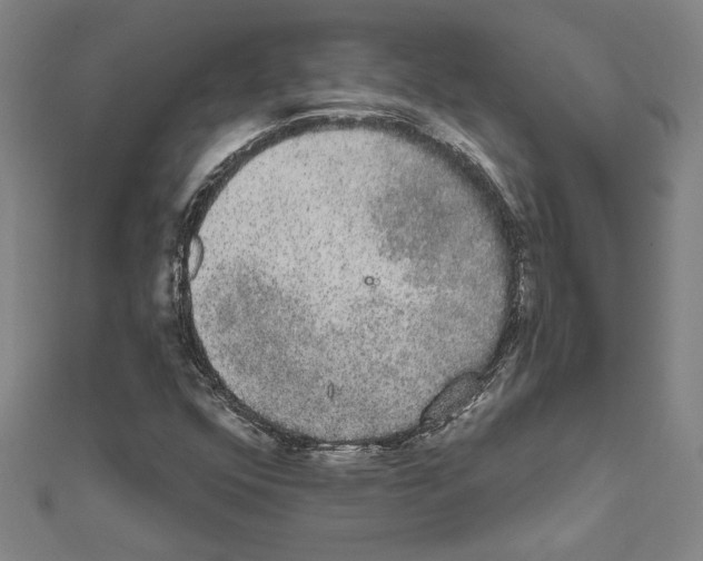 X0000111591352200908271000