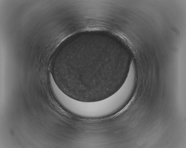 X0000111591353200908271000