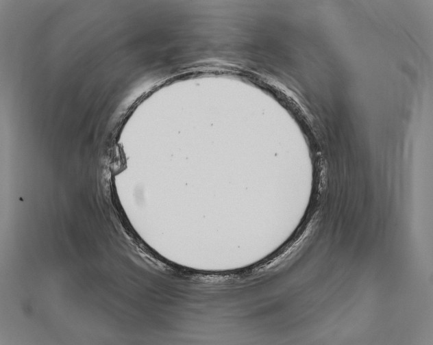 X0000111591355200908271000