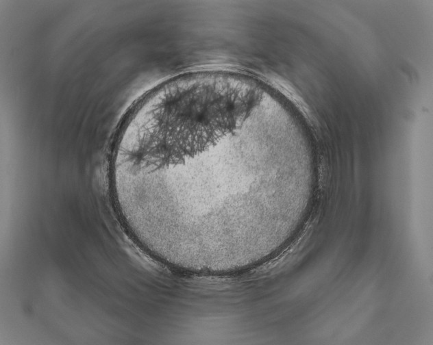 X0000111591356200908271000