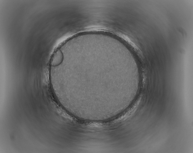 X0000111591358200908271000