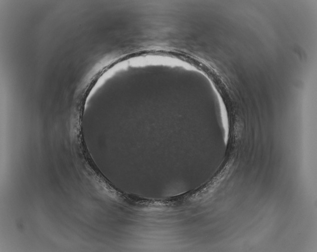 X0000111591359200908271000