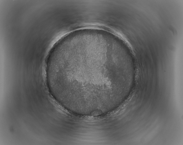 X0000111591360200908271000