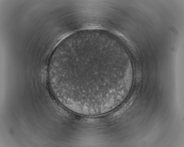 X0000111591361200908271000