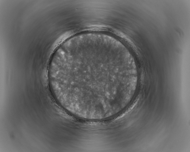 X0000111591362200908271000